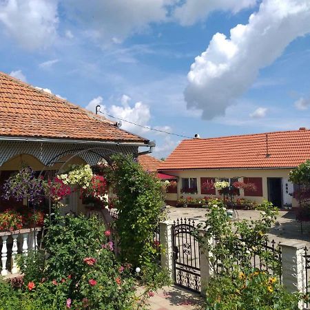 Maison d'hôtes La Mosu-N Retezat à Nucsoara  Extérieur photo