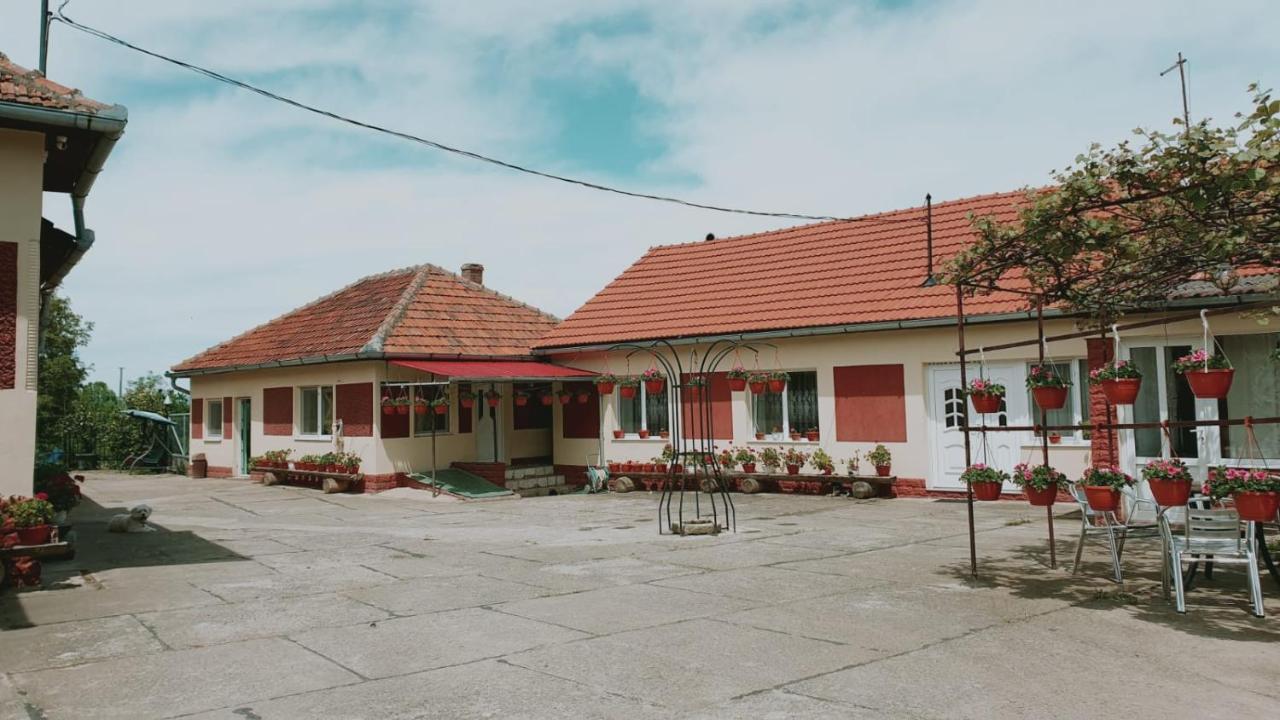 Maison d'hôtes La Mosu-N Retezat à Nucsoara  Extérieur photo