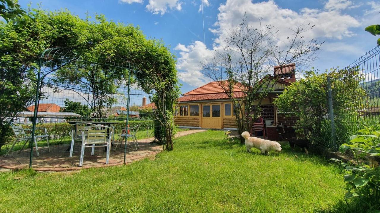 Maison d'hôtes La Mosu-N Retezat à Nucsoara  Extérieur photo