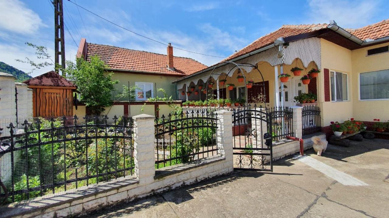 Maison d'hôtes La Mosu-N Retezat à Nucsoara  Extérieur photo