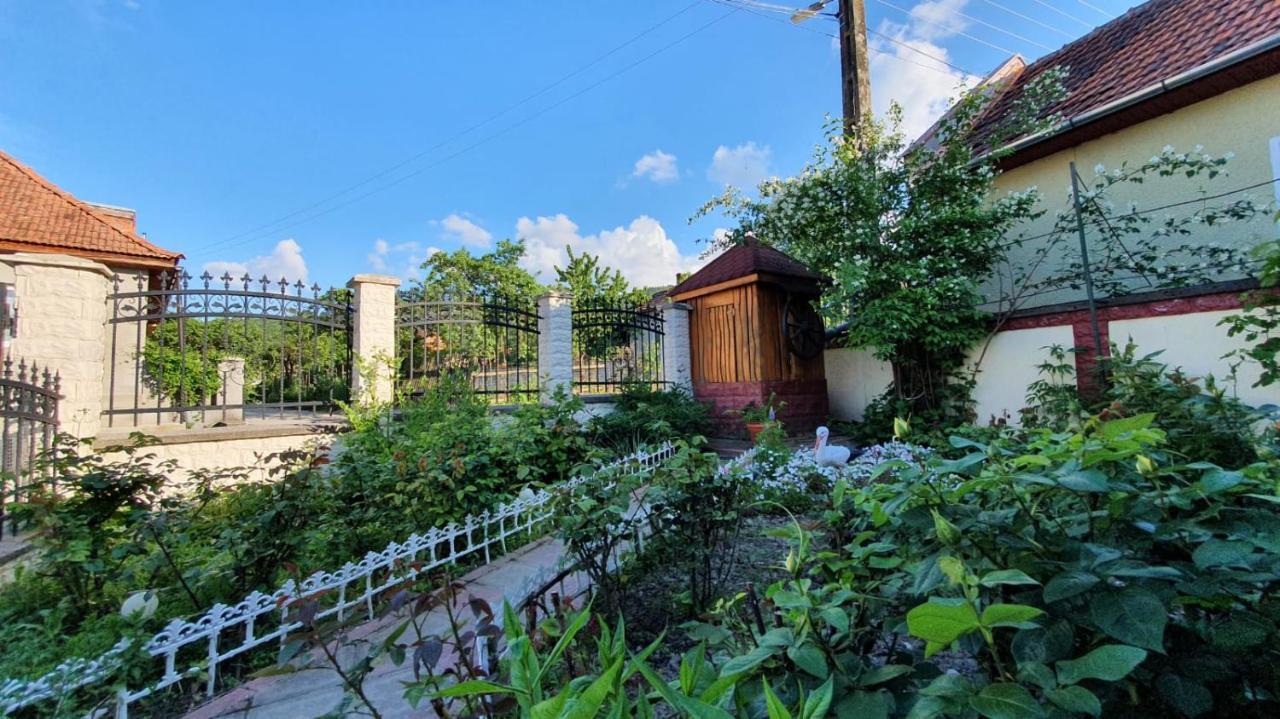 Maison d'hôtes La Mosu-N Retezat à Nucsoara  Extérieur photo