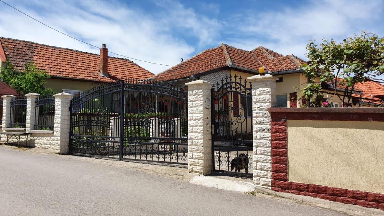 Maison d'hôtes La Mosu-N Retezat à Nucsoara  Extérieur photo