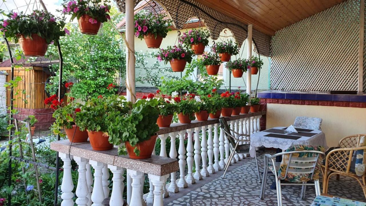 Maison d'hôtes La Mosu-N Retezat à Nucsoara  Extérieur photo