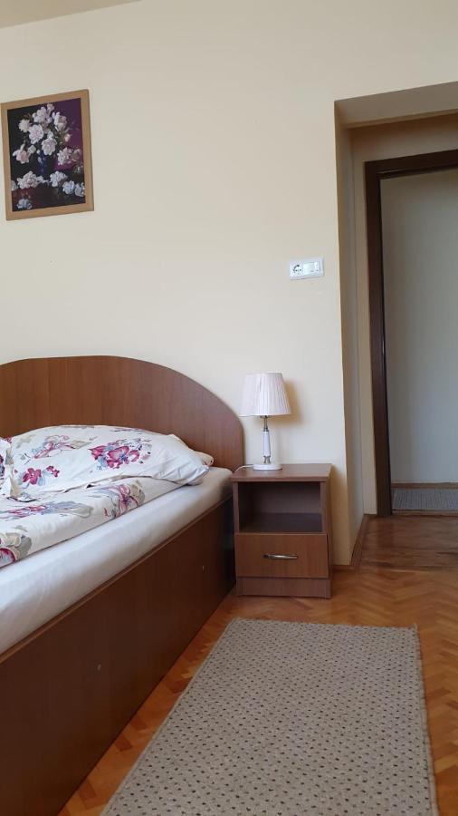 Maison d'hôtes La Mosu-N Retezat à Nucsoara  Extérieur photo