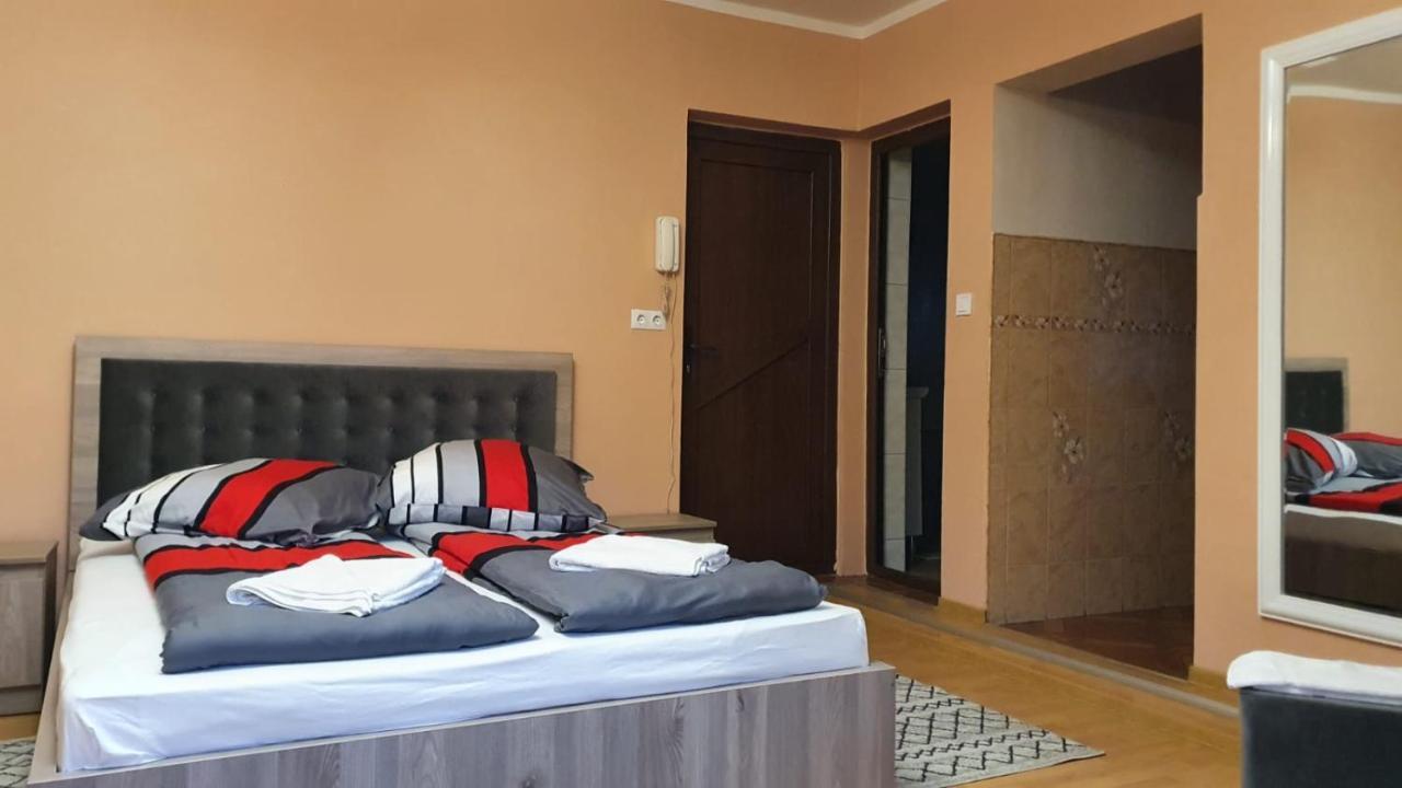 Maison d'hôtes La Mosu-N Retezat à Nucsoara  Extérieur photo