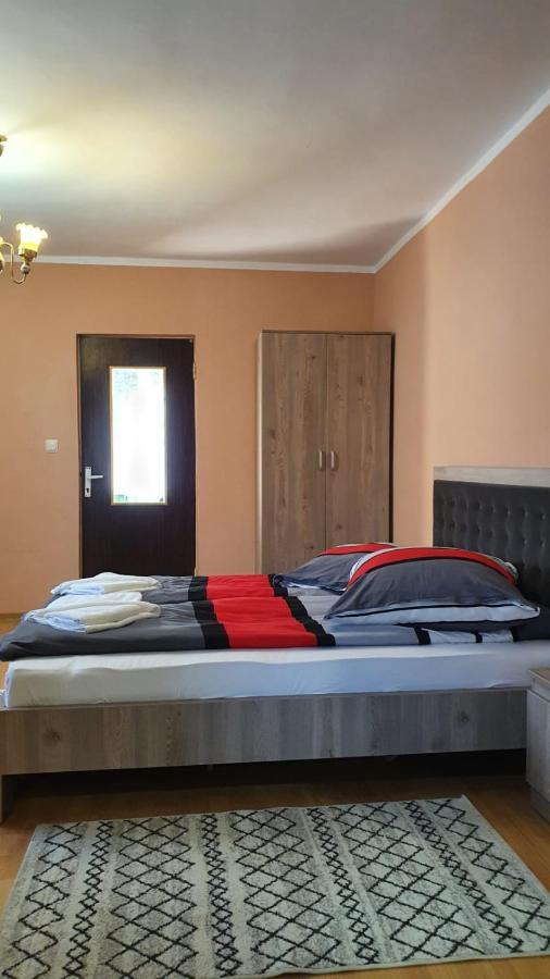 Maison d'hôtes La Mosu-N Retezat à Nucsoara  Extérieur photo