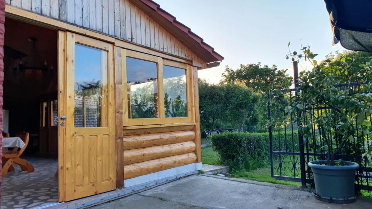 Maison d'hôtes La Mosu-N Retezat à Nucsoara  Extérieur photo