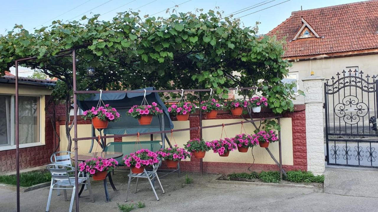 Maison d'hôtes La Mosu-N Retezat à Nucsoara  Extérieur photo