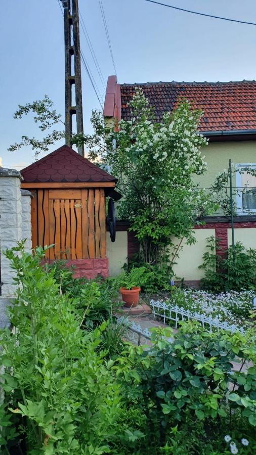 Maison d'hôtes La Mosu-N Retezat à Nucsoara  Extérieur photo