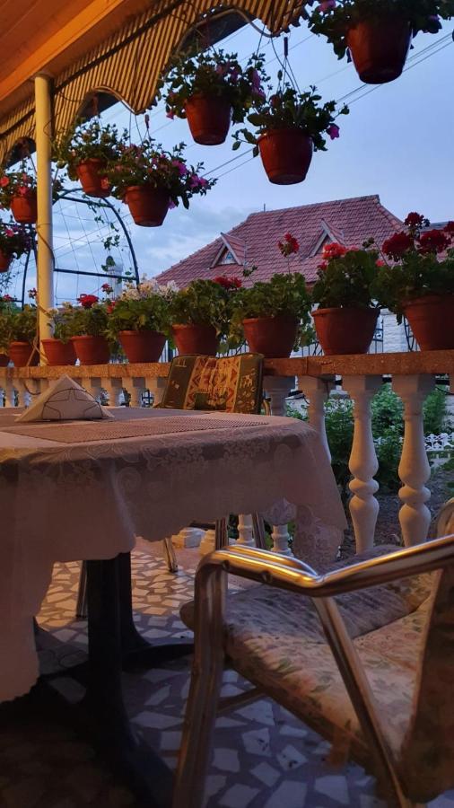 Maison d'hôtes La Mosu-N Retezat à Nucsoara  Extérieur photo