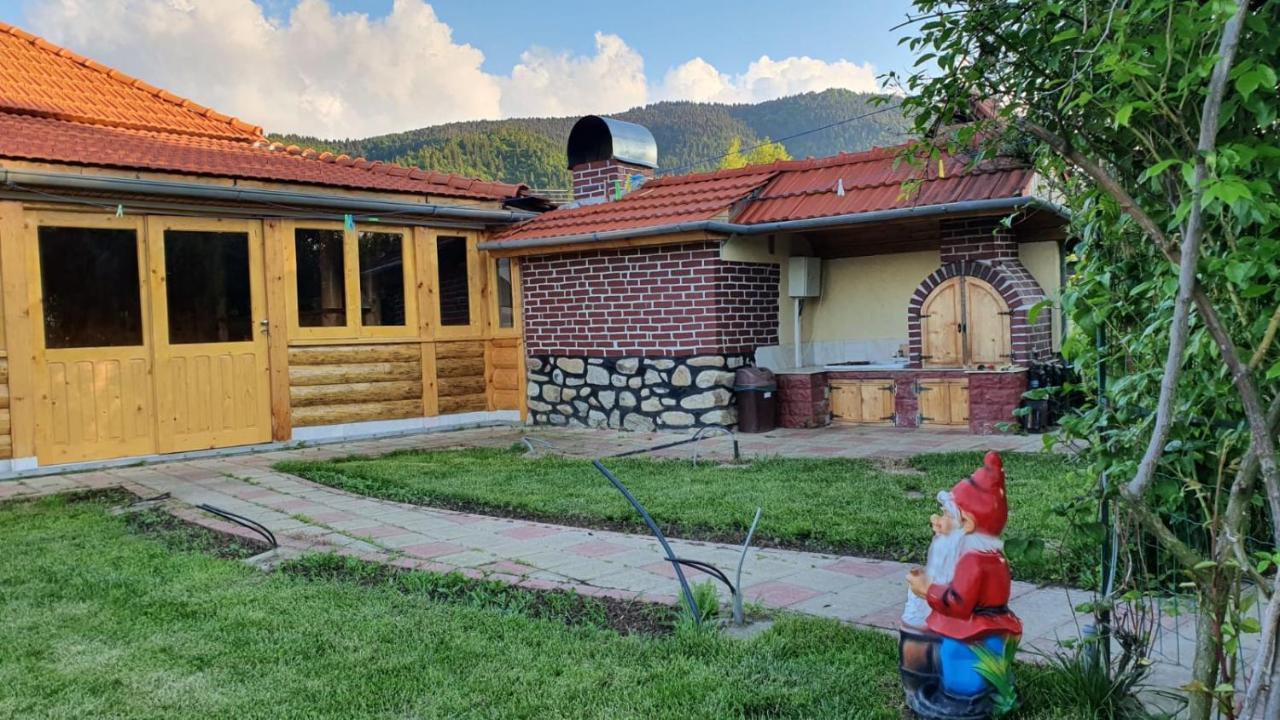 Maison d'hôtes La Mosu-N Retezat à Nucsoara  Extérieur photo
