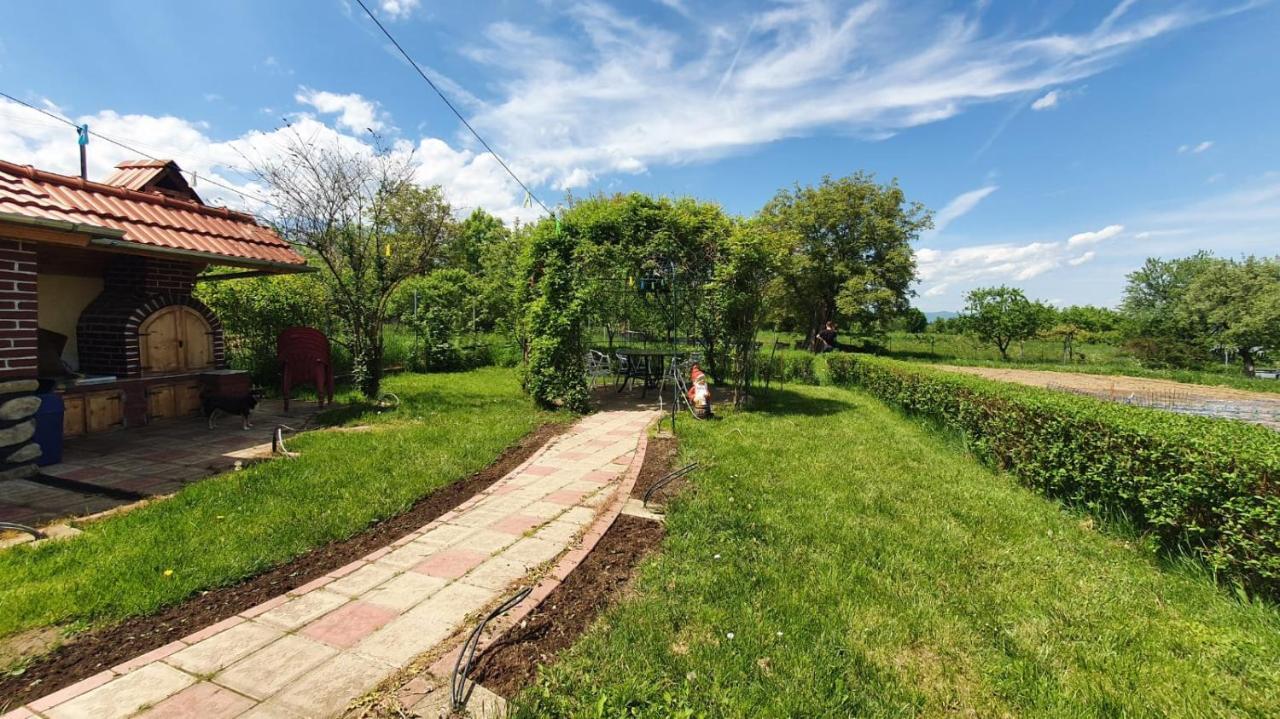 Maison d'hôtes La Mosu-N Retezat à Nucsoara  Extérieur photo