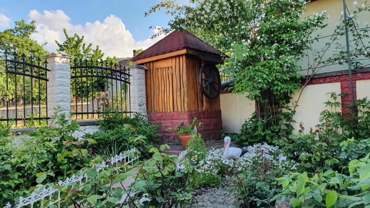 Maison d'hôtes La Mosu-N Retezat à Nucsoara  Extérieur photo
