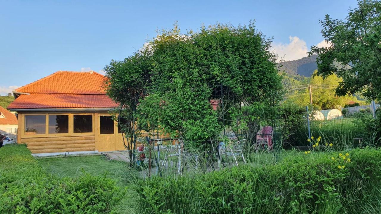 Maison d'hôtes La Mosu-N Retezat à Nucsoara  Extérieur photo