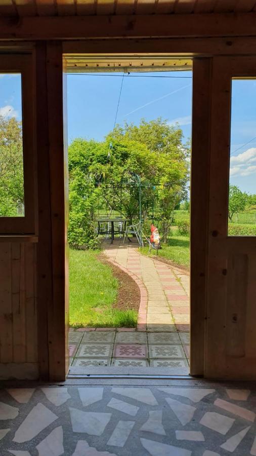 Maison d'hôtes La Mosu-N Retezat à Nucsoara  Extérieur photo