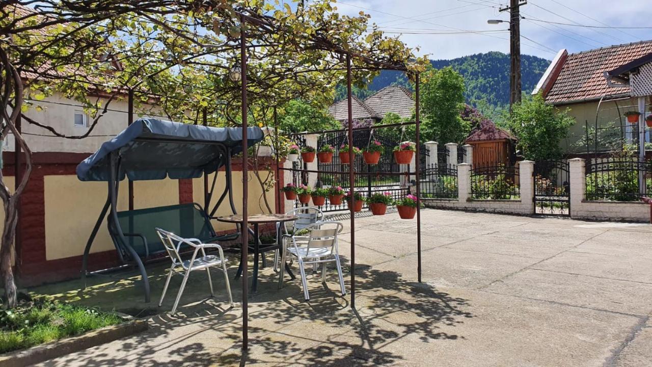 Maison d'hôtes La Mosu-N Retezat à Nucsoara  Extérieur photo