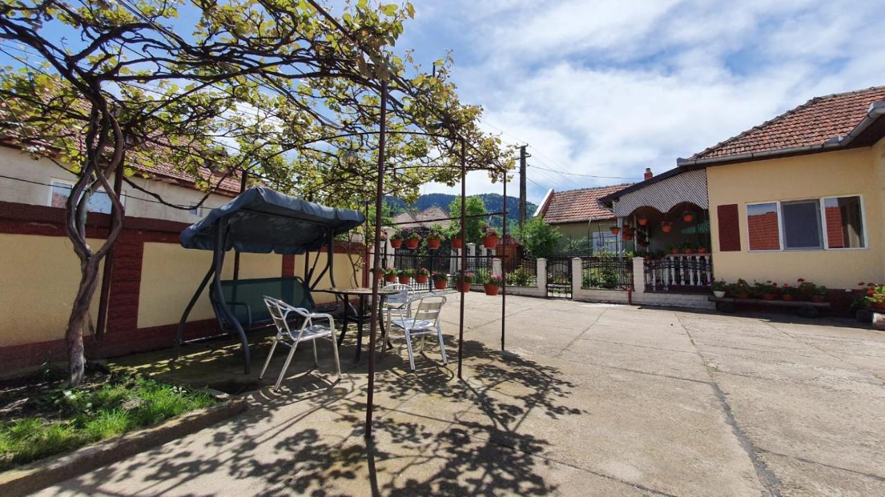 Maison d'hôtes La Mosu-N Retezat à Nucsoara  Extérieur photo