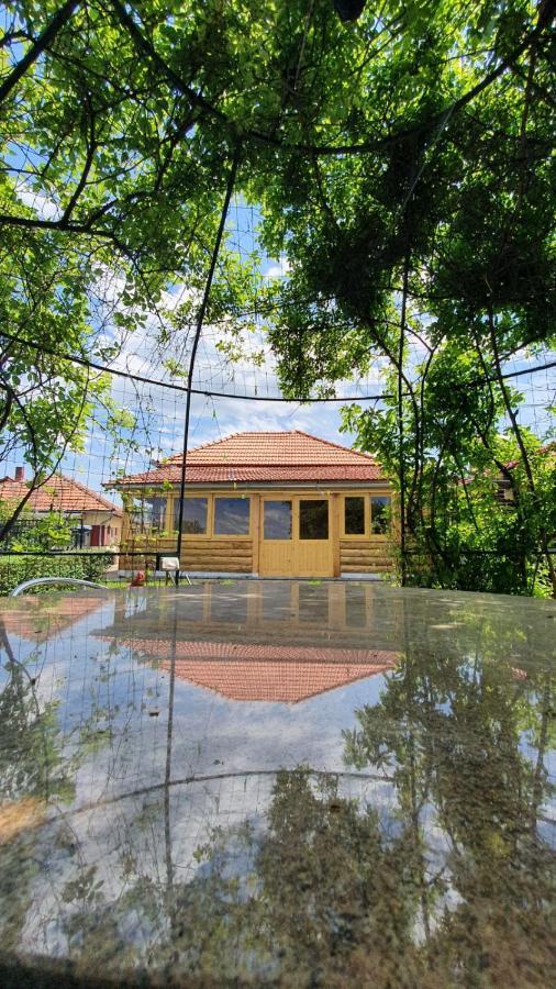 Maison d'hôtes La Mosu-N Retezat à Nucsoara  Extérieur photo
