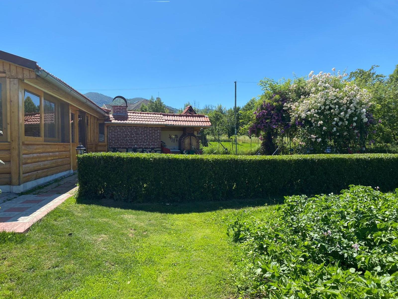 Maison d'hôtes La Mosu-N Retezat à Nucsoara  Extérieur photo