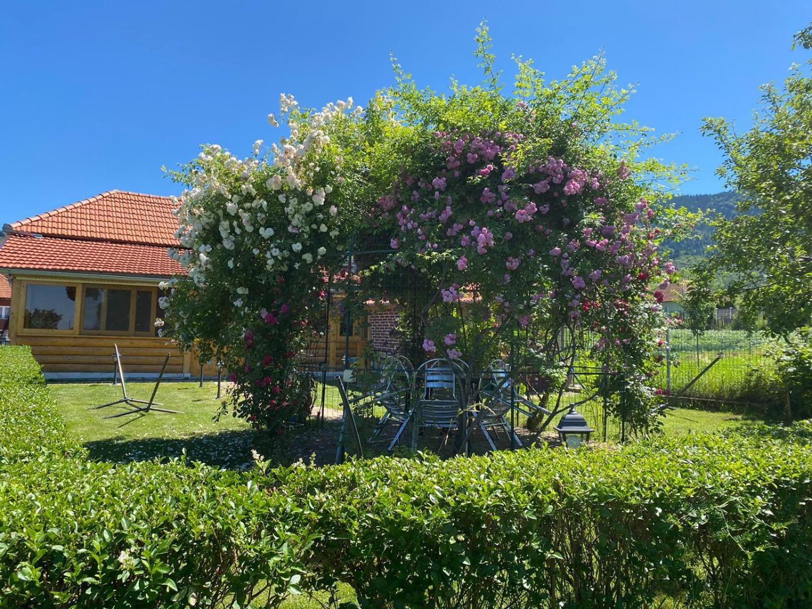 Maison d'hôtes La Mosu-N Retezat à Nucsoara  Extérieur photo