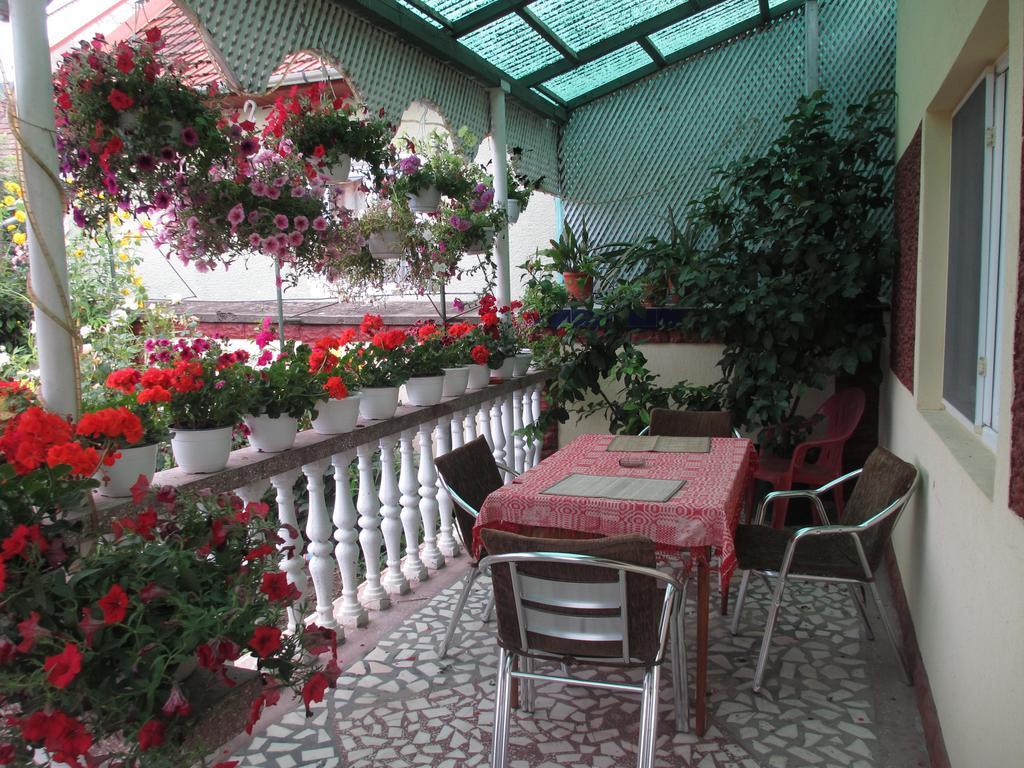 Maison d'hôtes La Mosu-N Retezat à Nucsoara  Extérieur photo