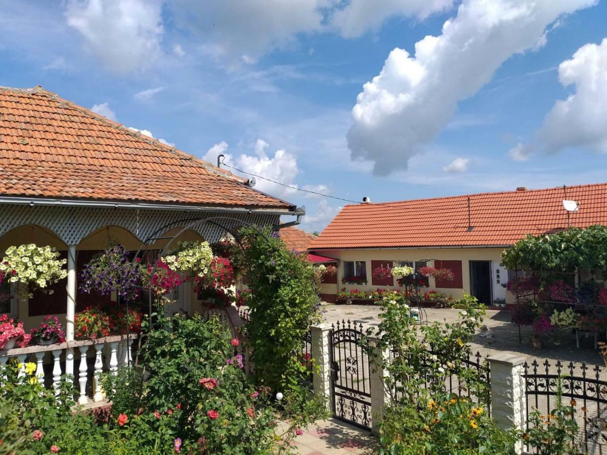 Maison d'hôtes La Mosu-N Retezat à Nucsoara  Extérieur photo